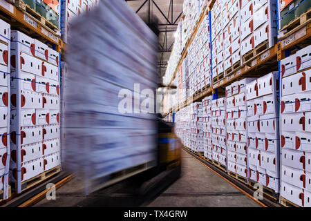 Spostando il carrello elevatore in sala di fabbrica scatole di caricamento Foto Stock