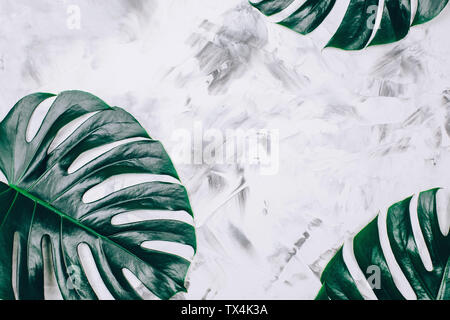 Tropical monstera pattern su texture di sfondo di calcestruzzo. Vista dall'alto. Close up. Foto Stock