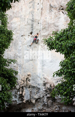 Thailandia, Krabi, Chong Pli, donna di arrampicata in parete di roccia Foto Stock