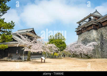 Giappone, Shikoku Matsuyama, vista verso il Castello di Matsuyama e al fiore di ciliegio stagione Foto Stock