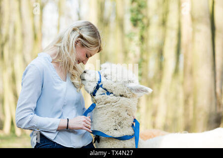 Donna felice cuddling alpaca bianco Foto Stock