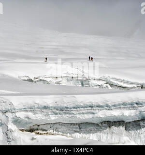 Il Nepal, Solo Khumbu, Everest, gli alpinisti al Western Cwm Foto Stock