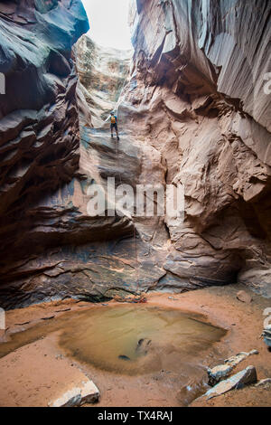 Stati Uniti d'America, Utah, Moab, Canyonering, Donna rapelling verso il basso nello slot canyon Foto Stock