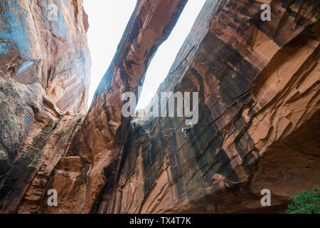 Stati Uniti d'America, Utah, Moab, Canyonering, Donna rapelling giù un arco gigante Foto Stock