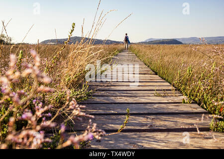 La Grecia, Messenia, Gialova Lagoon, escursionista sul sentiero natura Foto Stock