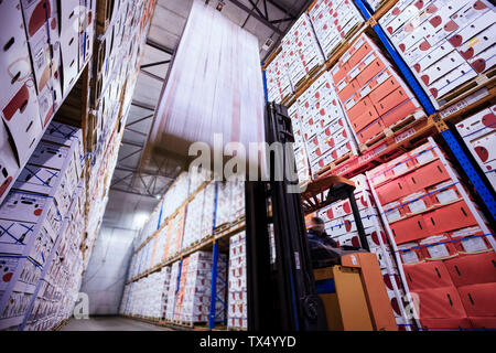 Spostando il carrello elevatore in sala di fabbrica scatole di caricamento Foto Stock