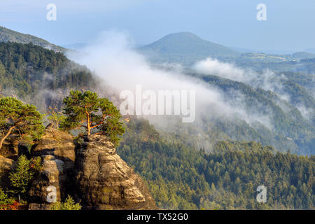 In Germania, in Sassonia, Elba montagne di arenaria, vista dal punto di vista Schrammsteine alla valle dell'Elba Foto Stock