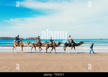 I turisti sui cammelli sulla spiaggia. Turismo in Marocco, Algeria, Tunisia. Viaggiare in Asia concetto Foto Stock