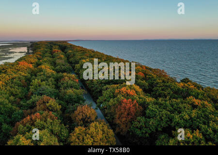 Confine Sino-Russian Xingkai lago Lago di colore di autunno Foto Stock