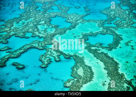 Naturale di grande barriera corallina nel Queensland. Vista aerea del paradiso naturale con colori magnifici. Foto Stock