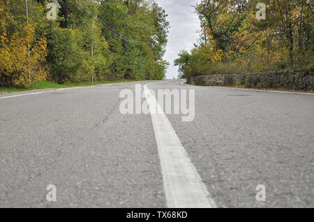 Bianco striscia divisoria sulla strada asfaltata nel bosco d'autunno. Close-up Foto Stock