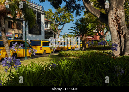 Giallo taxi nel sole tropicale di Funchal, Madeira, Portogallo, Europa Foto Stock