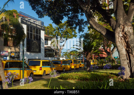 Giallo taxi nel sole tropicale di Funchal, Madeira, Portogallo, Europa Foto Stock