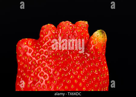 Extreme close up di un insolito fragole guardando come mano umana o dita del piede su sfondo nero Foto Stock