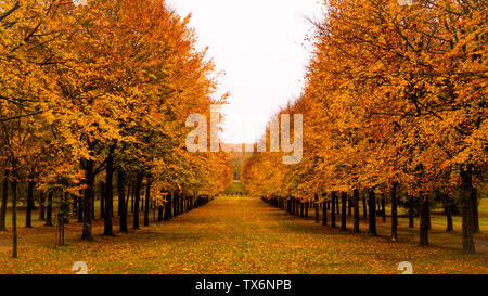 Autunno presso il Palazzo di Versailles Foto Stock