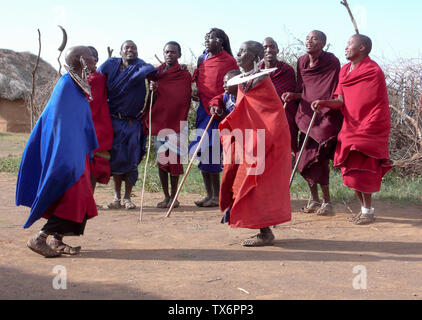 Olpopongi, Kilimnjaro Provincia / Tanzania: 29. Dicembre 2015: Tanzania Masai tribù in abbigliamento tradizionale in Olpopongi Villaggio Culturale perfor Foto Stock