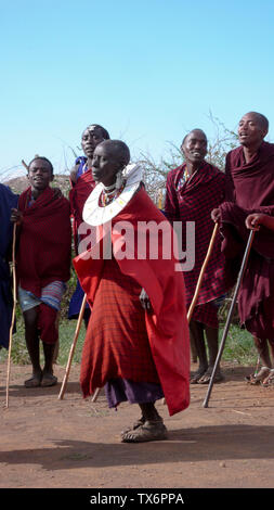 Olpopongi, Kilimnjaro Provincia / Tanzania: 29. Dicembre 2015: Tanzania Masai tribù in abbigliamento tradizionale in Olpopongi Villaggio Culturale perfor Foto Stock