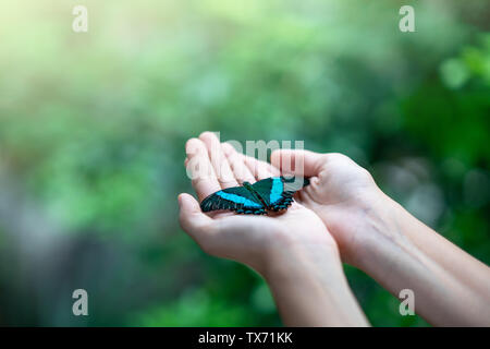 Farfalla sulla donna contro mano naturale sfondo verde Foto Stock