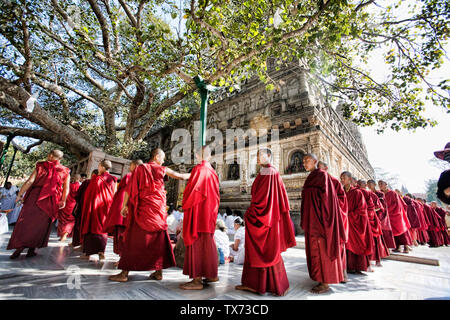 I giovani monaci buddisti visitando il tempio di Mahabodhi, Bodhgaya,, Bihar, in India. Foto Stock