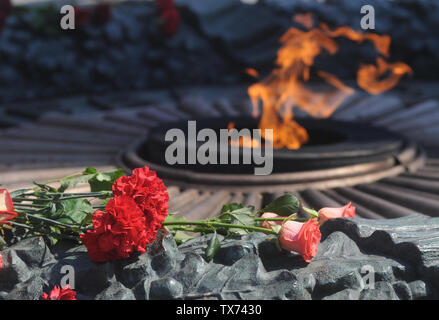 Kiev, Ucraina. Il 22 giugno, 2019. Per i garofani e le rose in fiamma eterna durante la ghirlanda recante cerimonia presso la tomba del Soldato sconosciuto il giorno di dolore e di ricordo per le vittime di guerra a Kiev. Credito: Alexey Ivanov SOPA/images/ZUMA filo/Alamy Live News Foto Stock