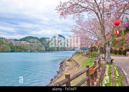 Sakura piena fioritura nel Parco Enakyosazanami, Prefettura di Gifu, Giappone Foto Stock