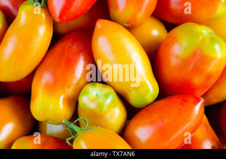 Un sacco di pomodori come sfondo Foto Stock