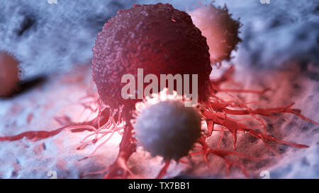 3D Rendering accurato dal punto di vista medico illustrazione di cellule bianche del sangue che attacca una cellula di cancro Foto Stock