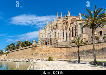 Famosa Cattedrale di Santa Maria in cielo blu come si vede dal Parc de la Mar in Palma de Mallorca, Spagna. Foto Stock