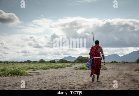 Maasai uomo a camminare nella savana Foto Stock