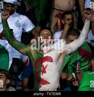 Il Cairo, Egitto - 23 giugno: Algeria tifosi durante il 2019 Africa Coppa delle Nazioni Gruppo C match tra Algeria e il Kenya a 30 giugno Stadio su Giugno 23, 2019 a Il Cairo, Egitto. (Sebastian Frej/MB Media) Foto Stock