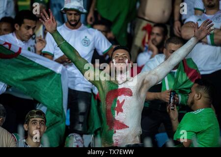 Il Cairo, Egitto - 23 giugno: Algeria tifosi durante il 2019 Africa Coppa delle Nazioni Gruppo C match tra Algeria e il Kenya a 30 giugno Stadio su Giugno 23, 2019 a Il Cairo, Egitto. (Sebastian Frej/MB Media) Foto Stock