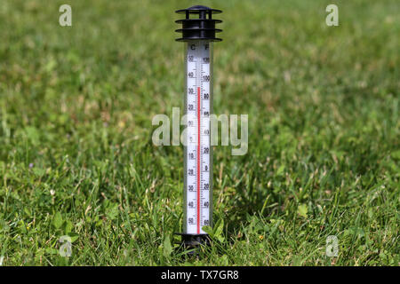 Calda estate. Il termometro in erba mostra una temperatura alta. Foto Stock