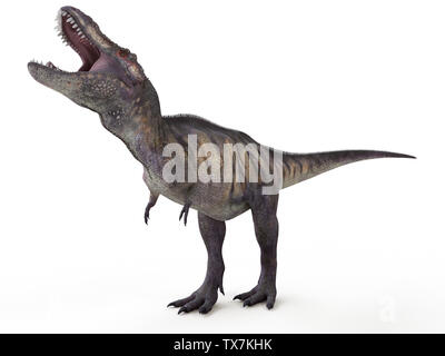 3d reso illustrazione di un Tirannosauro Rex Foto Stock