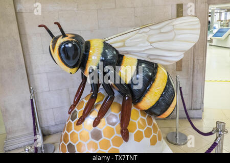 Manchester Bee,Bee,Biblioteca Centrale,Biblioteca centrale di Manchester, Manchester,nord, nord, nord-ovest,città,l'Inghilterra,inglese,GB,UK,Gran Bretagna,British,l'Europa, Foto Stock