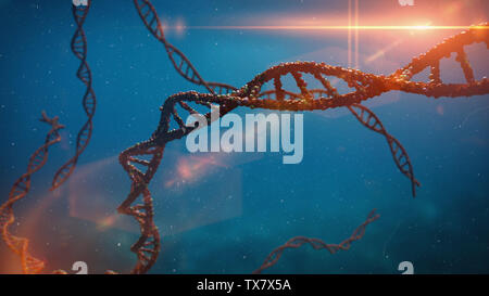 Molecola di DNA a doppia elica che trasportano le istruzioni genetiche (3d rendering della scienza) Foto Stock