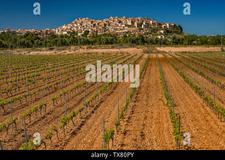 Vigneto, hilltown di Horta de San Juan, Terra Alta (Castellania) regione vinicola, Catalogna, Spagna Foto Stock