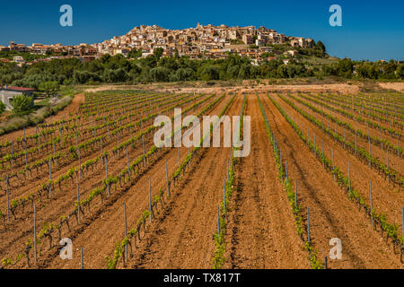 Vigneto, hilltown di Horta de San Juan, Terra Alta (Castellania) regione vinicola, Catalogna, Spagna Foto Stock