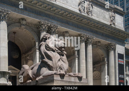 Ingresso alla Biblioteca Pubblica di New York, Manhattan, New York, Stati Uniti d'America Foto Stock