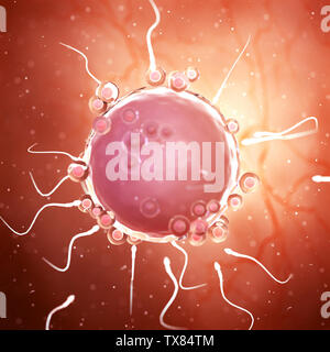 3D Rendering accurato dal punto di vista medico illustrazione di spermi attorno ad una cellula uovo Foto Stock