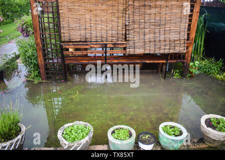 Grandi inondazioni di acqua dopo un imponente tempesta di pioggia. Il giardino e le piante sono coperte con acqua sporca. Molti danni dopo il forte temporale con la celebrazione della santa messa Foto Stock