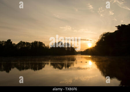 Alba e tramonto su Salhouse ampia, il Parco Nazionale Broads del Norfolk, Maggio, visto da barca a barca vacanza, alba sul lago e alberi. Foto Stock