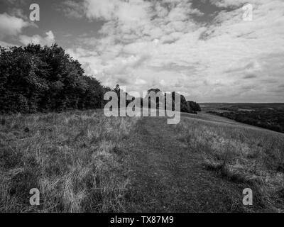 Bianco e Nero paesaggio del Berkshire Downs, Streatley, Berkshire, Inghilterra, Regno Unito, GB. Foto Stock