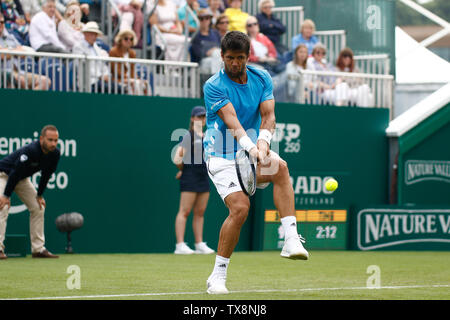 Devonshire Park, Eastbourne, Regno Unito. Il 24 giugno 2019. Natura Valle Torneo Internazionale di Tennis; Fernando Verdasco (ESP) gioca il rovescio girato nel suo match contro John Millman (AUS) Credito: Azione Sport Plus/Alamy Live News Foto Stock