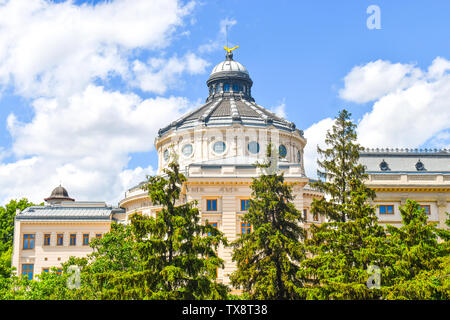 Il Palazzo Patriarcale verde con bellissimi giardini del parco in un giorno d'estate. Architettura neo-classica a Bucarest, in Romania. Foto Stock