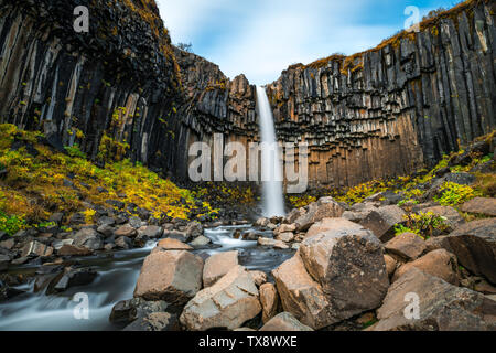 Spettacolari Cascate di basalto Svartifoss in Skafta Mountain National Park, Islanda Foto Stock