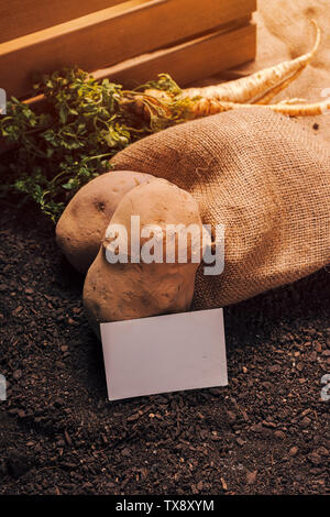 Agricoltura biologica di prezzemolo e patate con business card mock up caserecci vegetali di produzione alimentare Foto Stock