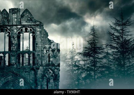 Rovine di un vecchio castello nella foresta di nebbia nel Regno Unito Foto Stock