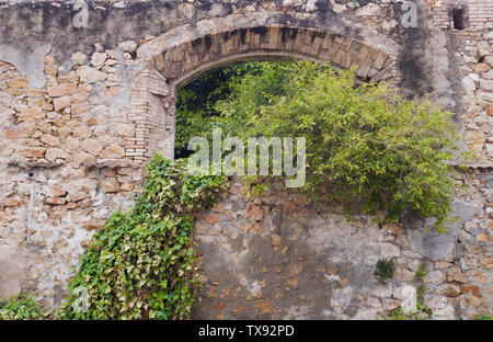 Nel vecchio muro di pietra finestra vuota ricoperta da piante. Foto Stock