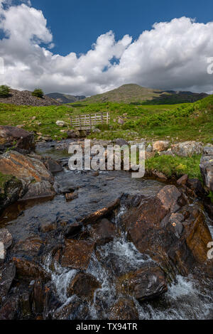 Le estati Cove Beck vicino Torver South Lakeland Foto Stock