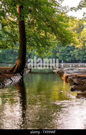 Immagine del piccolo ponte pedonale sul lago durante il tramonto Foto Stock